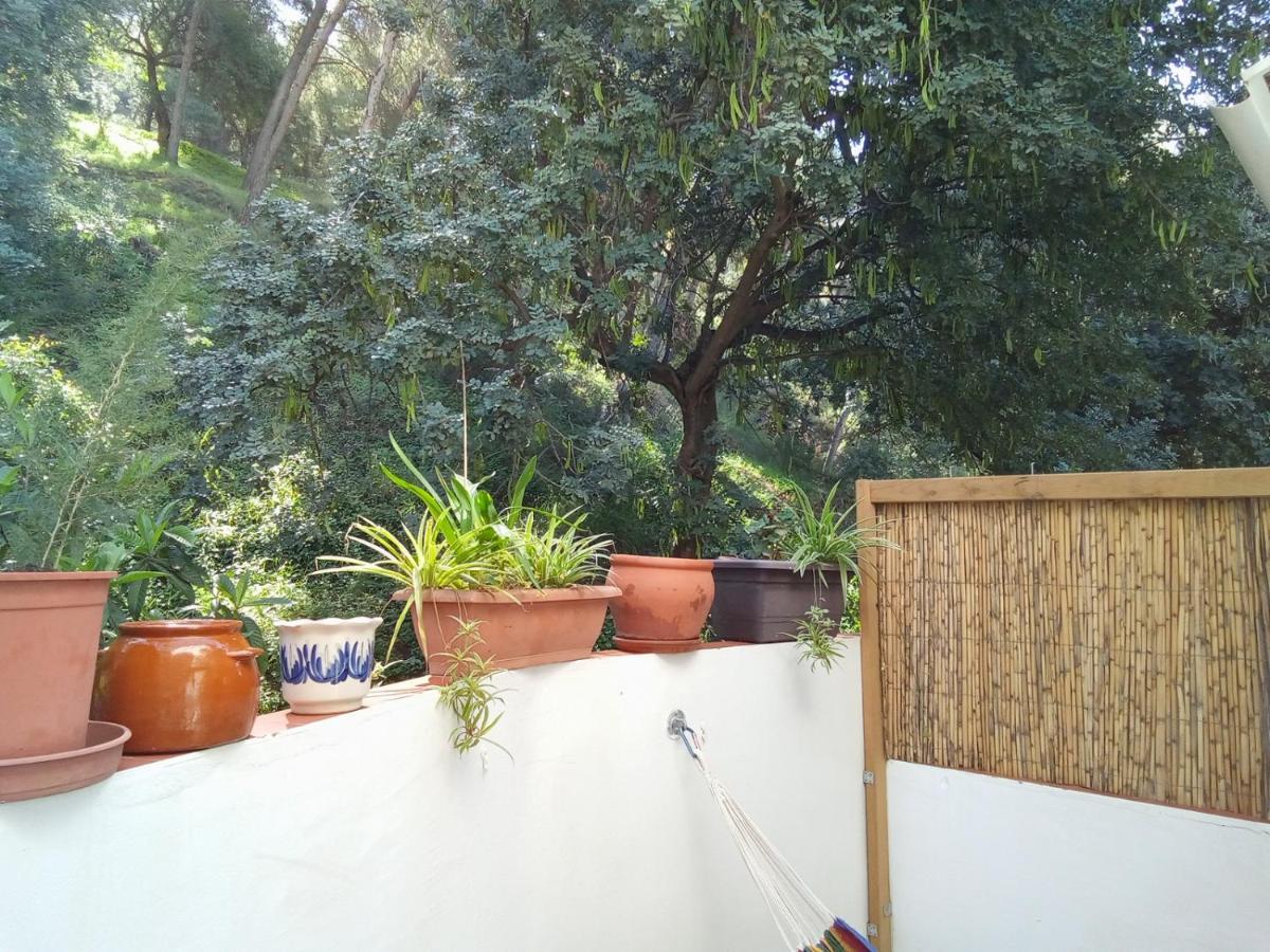 מאלגה Fabulosa Casa Del Arbol מראה חיצוני תמונה